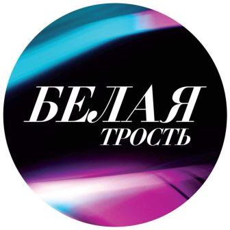 Месячник &amp;quot; Белая трость&amp;quot;.