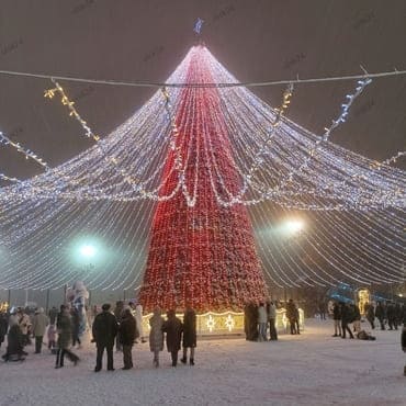 Посещение центральной елки на Соборной площади.